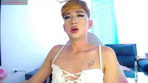 Snapshot of barbie_boy_ chatting on 01-09-25, 04:17 I work from home this is my room 3 online show from 01-09-25, 04:17