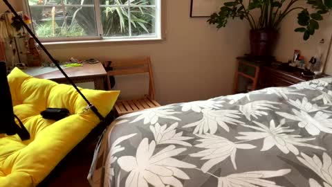 Snapshot of barrymccockinher22 chatting on 12-20-24, 11:58 Tasten Spike online show from 12-20-24, 11:58