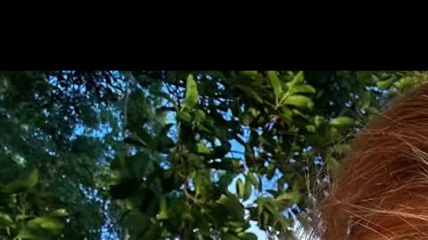 Battyredhair online show from 04-06-26, 06:25