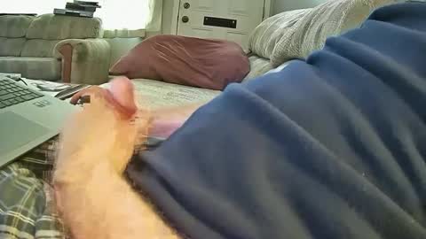 Snapshot of bcema2 chatting on 10-08-25, 06:49 bcema2 online show from 10-08-25, 06:49