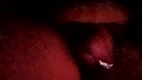 bcfalcon69 online show from 01-19-26, 06:06