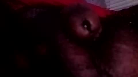 Snapshot of bcfalcon69 chatting on 06-25-26, 03:28 bcfalcon69 online show from 06-25-26, 03:28
