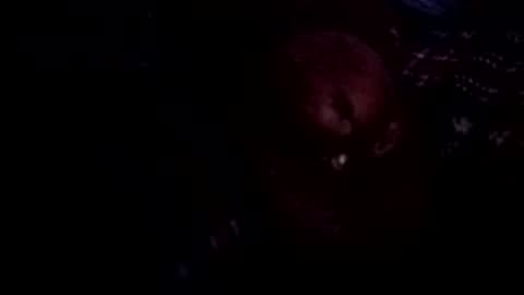 Snapshot of bcfalcon69 chatting on 06-26-26, 03:11 bcfalcon69 online show from 06-26-26, 03:11