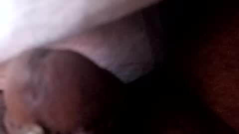 Snapshot of bcfalcon69 chatting on 07-02-26, 05:46 bcfalcon69 online show from 07-02-26, 05:46
