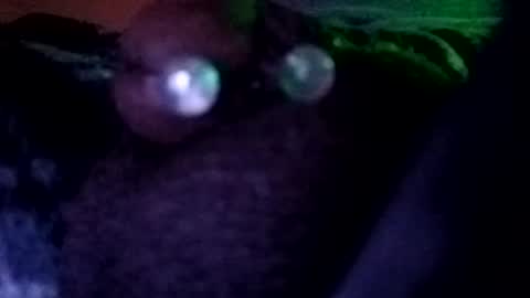 Snapshot of bcfalcon69 chatting on 07-30-26, 03:27 bcfalcon69 online show from 07-30-26, 03:27