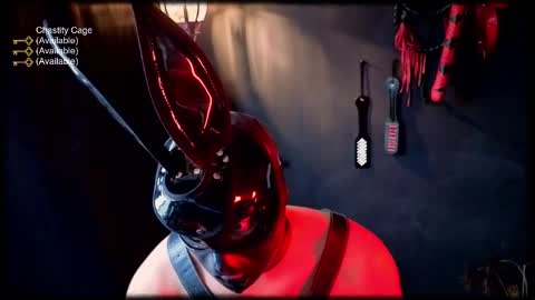 bdsm_rabbit online show from 03-12-26, 12:33