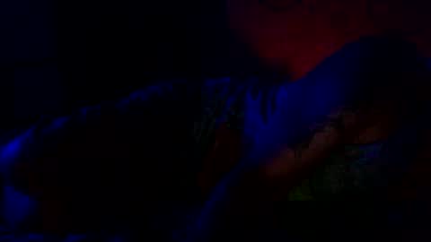 Snapshot of because_not chatting on 06-22-26, 01:51 because_not online show from 06-22-26, 01:51
