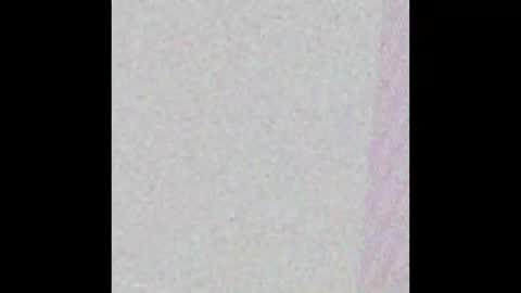 Snapshot of bedstuymonstercock90 chatting on 11-01-25, 07:49 hungnheavy online show from 11-01-25, 07:49