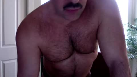 Beefy online show from 03-22-26, 11:30
