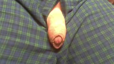 Snapshot of beer27 chatting on 06-22-26, 06:54 Reservoir Dogs online show from 06-22-26, 06:54