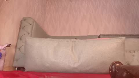 Snapshot of begoniia_ chatting on 12-22-24, 10:17 Begonia online show from 12-22-24, 10:17