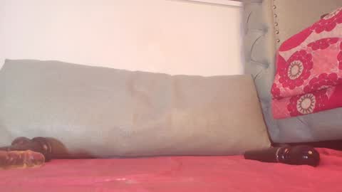 Snapshot of begoniia_ chatting on 12-28-24, 09:31 Begonia online show from 12-28-24, 09:31