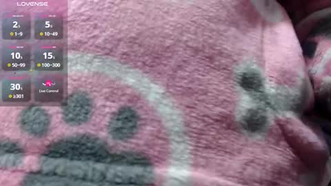 bekkasquirt online show from 01-01-25, 12:21