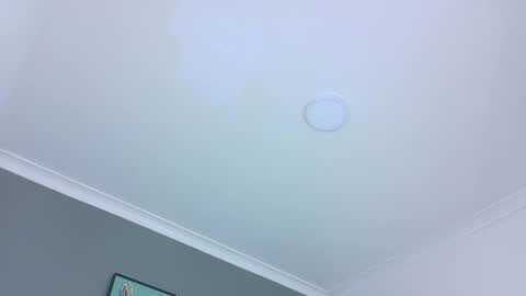 BELA online show from 10-28-25, 11:36