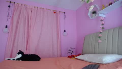 Snapshot of bella_gentle chatting on 12-31-24, 10:58 bella_gentle online show from 12-31-24, 10:58