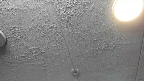  Bella  online show from 12-04-25, 07:22