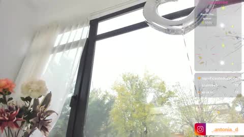 bella_posh online show from 11-15-25, 08:44