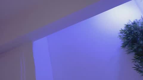 Bella online show from 02-19-26, 08:49