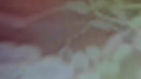 Bella Porch online show from 02-26-25, 02:59