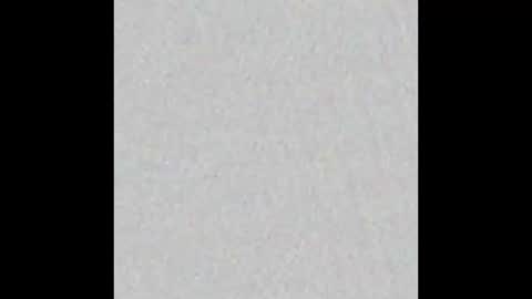 Bella online show from 02-19-26, 11:17