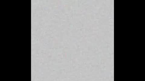 Bella online show from 02-25-26, 11:20