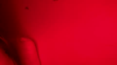 Belle xx online show from 11-09-25, 08:12