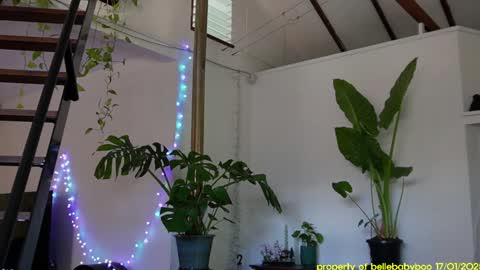 Snapshot of bellebabyboo chatting on 01-18-25, 04:48 BELLE online show from 01-18-25, 04:48