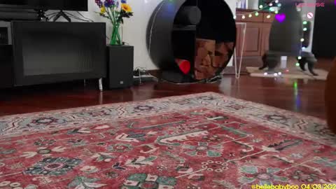 Snapshot of bellebabyboo chatting on 03-04-25, 01:12 BELLE online show from 03-04-25, 01:12