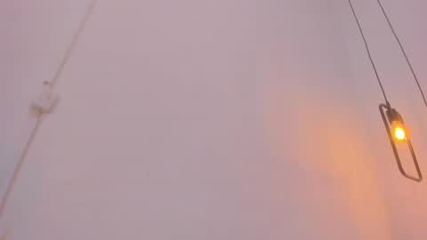 Snapshot of bellota_flak chatting on 12-28-24, 08:26 Bellota Flak online show from 12-28-24, 08:26