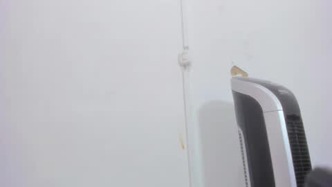 Snapshot of bellota_flak chatting on 12-30-24, 08:32 Bellota Flak online show from 12-30-24, 08:32