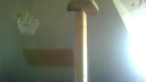 benizio online show from 02-22-25, 11:02