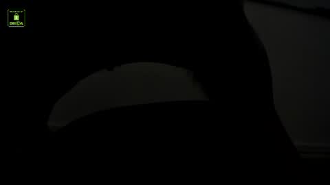 Benny online show from 07-15-26, 11:04