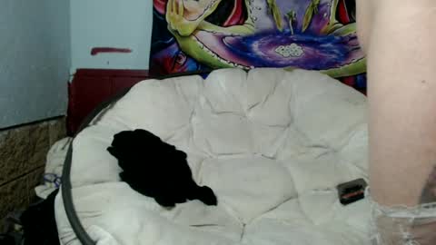 Snapshot of bentbunny21 chatting on 07-08-26, 03:00 Bent Bunny online show from 07-08-26, 03:00