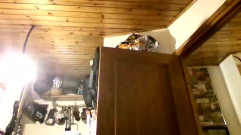 bernichaos77 online show from 02-21-26, 02:34