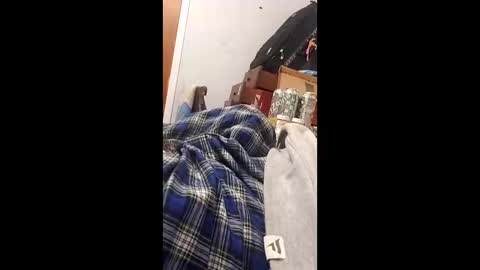 bertpace9296 online show from 05-23-26, 03:34