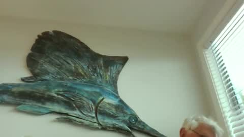 bestshot1951 online show from 03-20-26, 01:49