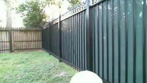 Blue online show from 03-05-26, 11:23