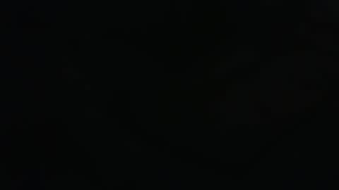 . online show from 03-15-26, 11:00