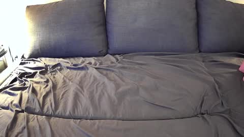 Snapshot of bfox254 chatting on 02-23-25, 12:19 Brian Fox online show from 02-23-25, 12:19