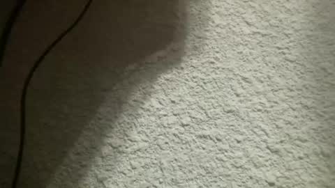 Bigfish123 online show from 02-04-25, 05:21