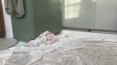 bi3269 online show from 03-25-26, 10:05