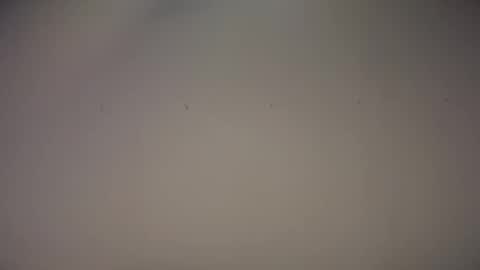 Snapshot of biff_beaverhausen chatting on 11-01-25, 11:34 Biff Beaverhousen online show from 11-01-25, 11:34