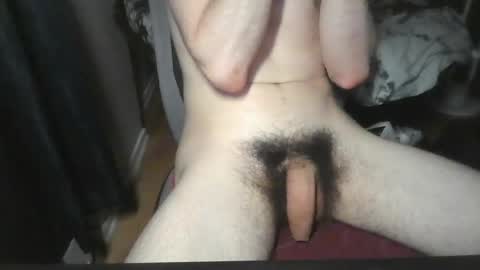 Snapshot of big_bushy_cock chatting on 06-22-26, 03:25 Big Bushy Cock online show from 06-22-26, 03:25