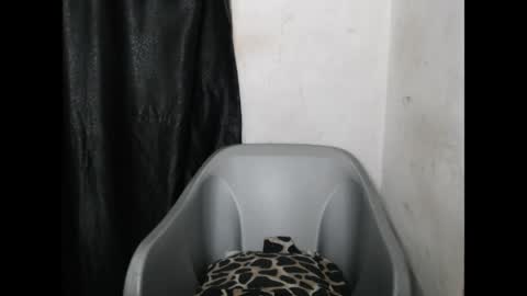 Snapshot of bigassdrip chatting on 04-21-26, 07:06 bigassdrip online show from 04-21-26, 07:06