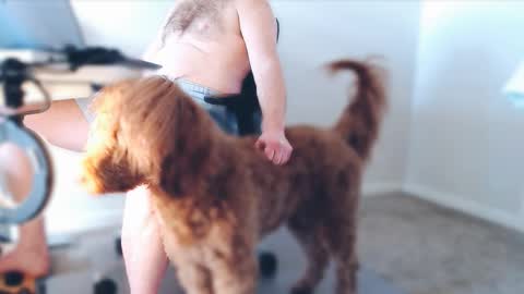 Snapshot of bigbadwolfbulge chatting on 02-25-26, 05:00 Alcide Herveaux online show from 02-25-26, 05:00