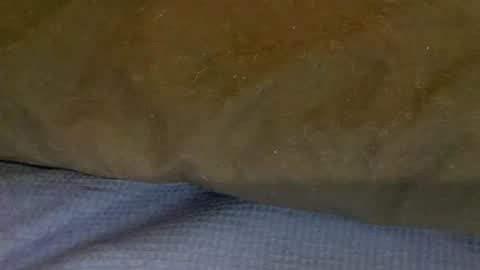 bigboii842 online show from 11-15-25, 04:36