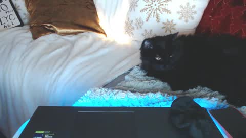 bigboobs_cutie online show from 12-14-24, 10:02