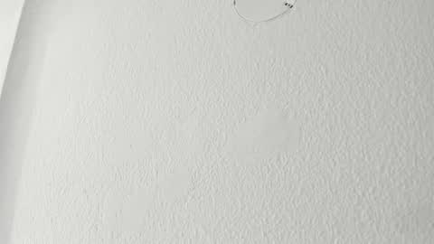   online show from 03-18-26, 09:56