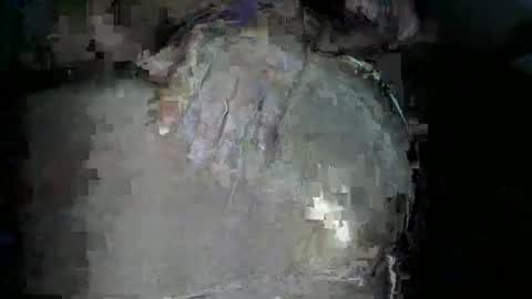 Snapshot of bigboybigbutt69 chatting on 11-15-25, 12:02 bigboybigbutt69 online show from 11-15-25, 12:02