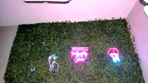 bigbuttsarena online show from 04-22-26, 06:27